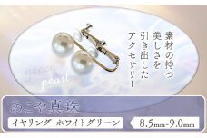 アクセサリー あこや真珠(8.5mm-9.0mm)ホワイトグリーン イヤリング ケース付き 富士真珠株式会社《45日以内に出荷予定(土日祝除く)》真珠 パール イヤリング 耳 両耳用 冠婚葬祭 礼服 アクセサリー 装飾品