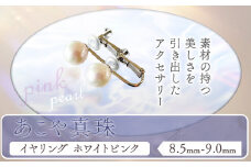 アクセサリー あこや真珠(8.5mm-9.0mm)ホワイトピンク イヤリング ケース付き 富士真珠株式会社《45日以内に出荷予定(土日祝除く)》真珠 パール イヤリング 耳 両耳用 冠婚葬祭 礼服 アクセサリー 装飾品