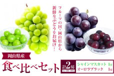ぶどう 葡萄 岡山県産 シャインマスカット オーロラブラック 計2房 (各1房ずつ 各550～600g) 佐々木農園《8月中旬-9月末頃出荷》岡山県 笠岡市 送料無料 マスカット フルーツ 果物 ブドウ オーロラ ブラック お取り寄せフルーツ【配送不可地域あり】