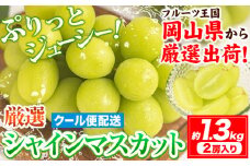 【先行予約】シャインマスカット (約1.3kg 2房) 《2025年9月上旬-11月中旬頃出荷》ぶどう ブドウ 葡萄 マスカット 果物 フルーツ ギフト 岡山県 笠岡市 フルーツ マスカット