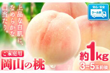 桃【2025年先行受付】ご家庭 訳あり 岡山の桃 約1kg (3~5玉前後)白桃 岡山 はくとう スイーツ フルーツ 果物 デザート 旬 モモ もも 先行予約 送料無料 果物 岡山県 笠岡市 清水白桃 白鳳 白麗 クール便《2025年6月下旬-9月上旬頃出荷》 