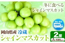 冷蔵シャインマスカット H-28a 岡山県産　（1房530g以上2房入り）令和7年産先行予約《11月中旬-12月中旬頃出荷》【配送不可地域あり】