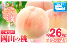 桃【2025年先行予約】岡山県産 桃 約2.6kg(約1.3kg×2箱)《2025年6月下旬-9月上旬頃出荷》 ご家庭用 訳あり 白桃 岡山県 笠岡市 モモ もも 先行予約 送料無料 清水白桃 白鳳 白麗 