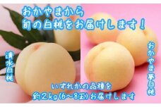 桃 もも 岡山 約2kg 6～8玉 白桃 岡山県産 岡山の桃 おかやま夢白桃 清水白桃 おまかせ ブランド桃 旬 果物 フルーツ 甘い《2025年7月中旬-8月上旬頃出荷》
