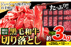 牛肉 肉 黒毛和牛 切り落とし 訳あり 大容量 小分け 3kg 250g × 12《30日以内に出荷予定(土日祝除く)》岡山県産 岡山県 笠岡市 お肉 にく カレー 牛丼 切り落し 切落し