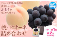 桃・ピオーネ詰め合わせ 約1kg クール便 冷蔵便 桃 もも 葡萄 ブドウ ぶどう ピオーネ フルーツ セット 先行予約 晴れの国おかやま館 《2025年8月下旬‐9月中旬頃出荷》 フルーツ 果物 果実 岡山県 笠岡市