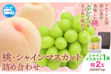 桃・シャインマスカット詰め合わせ 約1kg クール便 冷蔵便 桃 もも 葡萄 ブドウ ぶどうシャインマスカット マスカット フルーツ セット 先行予約 晴れの国おかやま館 《2025年8月下旬‐9月中旬頃出荷》 フルーツ 果物 果実 岡山県 笠岡市