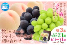  桃 シャインマスカット ピオーネ 詰め合わせ 約1.8kg クール便 冷蔵便 桃 もも 葡萄 ブドウ ぶどう マスカット フルーツ セット 先行予約 晴れの国おかやま館 《《2025年8月下旬‐9月中旬頃出荷》 フルーツ 果物 果実 岡山県 笠岡市