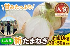 新玉ねぎ しお風新たまねぎ 約10kg 《速攻出荷！》 玉ねぎ 新たまねぎ 玉葱 たまねぎ 新玉 野菜 青果物 岡山県 笠岡市 一万円以下 一万以下 10000円以下