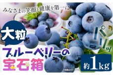 ブルーベリー 大粒 1kg (250g×4パック) 大粒ブルーベリーの宝石箱 かさおか青空ファーム 《2025年6月上旬-8下旬頃出荷》 岡山県 笠岡市 送料無料 フルーツ 果物 岡山県産 国産 ブルーベリー 1キロ お取り寄せ st-p