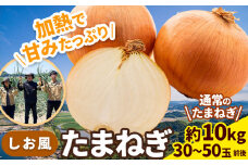 たまねぎ【2025年先行予約分】しお風たまねぎ 約10kg《2025年6月上旬-6月末頃出荷》 玉ねぎ たまねぎ 野菜 青果物 岡山県 笠岡市 玉ねぎ 10kg  一万円以下 一万以下 10000円以下