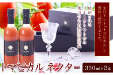 トマト ジュース トマトジュース トマピカル ネクター フルーツトマト 350ml 2本 株式会社ジェイ・イー・ティ・アグリ《30日以内に出荷予定(土日祝除く)》岡山県 笠岡市 送料無料 トマピカルネクター ソフトドリンク 野菜 野菜ジュース