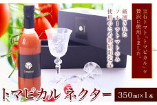 トマト ジュース トマトジュース トマピカル ネクター フルーツトマト 350ml 1本 株式会社ジェイ・イー・ティ・アグリ《30日以内に出荷予定(土日祝除く)》岡山県 笠岡市 送料無料 トマピカルネクター ソフトドリンク 野菜 野菜ジュース