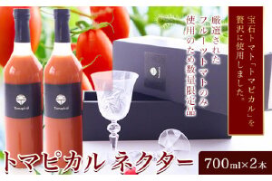 トマト ジュース トマトジュース トマピカル ネクター フルーツトマト 700ml 2本 株式会社ジェイ・イー・ティ・アグリ《30日以内に出荷予定(土日祝除く)》岡山県 笠岡市 送料無料 トマピカルネクター ソフトドリンク 野菜 野菜ジュース