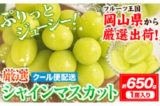 【先行予約】シャインマスカット 岡山 約650g 1房  《2025年9月上旬-11月中旬頃出荷》厳選 旬 ぶどう ブドウ 葡萄 マスカット 果物 フルーツ ギフト 岡山県 笠岡市 訳あり クール便 爽やか 贅沢