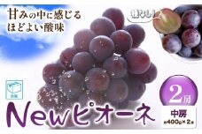 ぶどう New ピオーネ中房2房(約400g×2房) ふじまる《8月下旬-9月下旬頃出荷》岡山県 笠岡市 送料無料 葡萄 フルーツ 果物 ニューピオーネ お取り寄せフルーツ