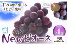 ぶどう New ピオーネ 中房4房(約400g×4房) ふじまる《8月下旬-9月下旬頃出荷》岡山県 笠岡市 送料無料 葡萄 フルーツ 果物 ニューピオーネ お取り寄せフルーツ