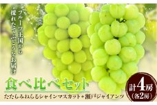 【2025年産先行予約】【2回定期便】食べ比べセット たたらみねらるシャインマスカット+瀬戸ジャイアンツ 各2房 計2kg《9月上旬-10月下旬頃出荷》岡山県 笠岡市 マスカット ぶどう ブドウ 葡萄 フルーツ 果物 たたらみねらる 食べ比べ セット 定期便