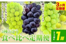 【2025年産先行予約】3ヶ月 定期便 食べ比べセット たたらみねらる シャインマスカット 瀬戸ジャイアンツ ピオーネ 各1房《8月下旬-10月下旬頃出荷》岡山県 笠岡市 マスカット ぶどう ブドウ 葡萄 フルーツ 果物 たたらみねらる 食べ比べ セット