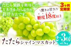 【令和7年度産先行予約】 【3回定期便】マスカット シャインマスカット 2~3房(約1.3kg)《8月下旬-10月下旬頃出荷》たたらみねらる ギフト 糖度18度以上 フルーツ 種無し ぶどう 葡 Y&G．ディストリビューター 岡山県 笠岡市 定期便