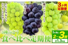 【2025年産先行予約】3ヶ月 定期便 食べ比べセット たたらみねらる シャインマスカット 瀬戸ジャイアンツ ピオーネ 2~3房(計1.3kg)《8月下旬-10月下旬頃出荷》岡山県 笠岡市 マスカット ぶどう ブドウ 葡萄 フルーツ 果物 たたらみねらる 食べ比べ セット