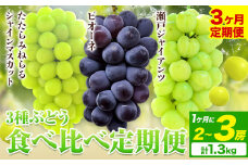 【2025年産先行予約】3ヶ月 定期便 食べ比べセット たたらみねらる シャインマスカット 瀬戸ジャイアンツ ピオーネ 2~3房(計1.3kg)《8月下旬-10月下旬頃出荷》岡山県 笠岡市 マスカット ぶどう ブドウ 葡萄 フルーツ 果物 たたらみねらる 食べ比べ セット