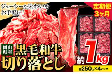 牛肉【3ヶ月定期便】 肉 黒毛和牛 切り落とし 訳あり 大容量 小分け 1kg 1パック 250g 定期便《お申込み月翌月から出荷開始》岡山県産 岡山県 笠岡市 お肉 にく カレー 牛丼 切り落し 切落し