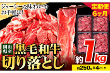 牛肉【6ヶ月定期便】 肉 黒毛和牛 切り落とし 訳あり 大容量 小分け 1kg 1パック 250g 定期便《お申込み月翌月から出荷開始》岡山県産 岡山県 笠岡市 お肉 にく カレー 牛丼 切り落し 切落し