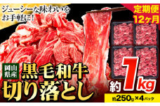 牛肉【12ヶ月定期便】 肉 黒毛和牛 切り落とし 訳あり 大容量 小分け 1kg 1パック 250g 定期便《お申込み月翌月から出荷開始》岡山県産 岡山県 笠岡市 お肉 にく カレー 牛丼 切り落し 切落し
