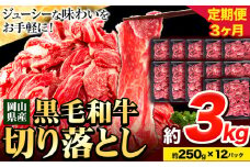 牛肉【3ヶ月定期便】 肉 黒毛和牛 切り落とし 訳あり 大容量 小分け 3kg 1パック 250g 定期便《お申込み月翌月から出荷開始》岡山県産 岡山県 笠岡市 お肉 にく カレー 牛丼 切り落し 切落し