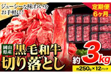 牛肉【6ヶ月定期便】 肉 黒毛和牛 切り落とし 訳あり 大容量 小分け 3kg 1パック 250g 定期便《お申込み月翌月から出荷開始》岡山県産 岡山県 笠岡市 お肉 にく カレー 牛丼 切り落し 切落し