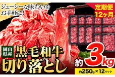 牛肉【12ヶ月定期便】 肉 黒毛和牛 切り落とし 訳あり 大容量 小分け 3kg 1パック 250g 定期便《お申込み月翌月から出荷開始》岡山県産 岡山県 笠岡市 お肉 にく カレー 牛丼 切り落し 切落し