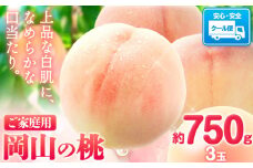 桃【2025年先行予約】桃 岡山の桃 約750g 《2025年6月下旬-9月上旬頃出荷》 ご家庭用 訳あり 白桃 岡山 旬 モモ もも 先行予約 送料無料 果物 岡山県 笠岡市 清水白桃 白鳳 白麗 クール便