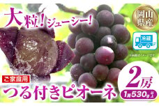 家庭用つる付きニューピオーネ 2房(1房530g以上)【配送不可地域あり】有限会社ホーティカルチャー神島 令和7年産先行受付《9月上旬-10月中旬頃出荷》岡山県 笠岡市 送料無料 葡萄 フルーツ 果物 ニューピオーネ つる付き お取り寄せフルーツ