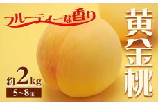 【2025年8月上旬より発送】【先行予約】もも 桃 黄金桃 2kg 5～8玉 小寺農園《2025年8月上旬-9月上旬頃出荷》岡山県 笠岡市 岡山県産 黄金桃 モモ 果物 フルーツ 先行予約