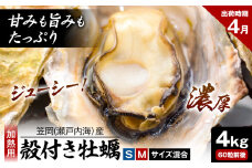 笠岡産 (瀬戸内海産) 殻付き牡蠣 (加熱用) S・Mサイズ混合 4kg 60粒前後《4月上旬-4月末頃出荷》岡山県 笠岡市 かき カキ 牡蠣 生牡蠣 瀬戸内海産 殻付き