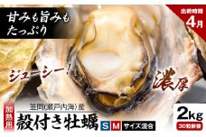 笠岡産 (瀬戸内海産) 殻付き牡蠣 (加熱用) S・Mサイズ混合 2kg 30粒前後《4月上旬-4月末頃出荷》岡山県 笠岡市 かき カキ 牡蠣 生牡蠣 瀬戸内海産 殻付き