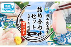 鮮魚 詰め合わせセット(3～4種) 勇和水産《10月下旬-7月旬頃出荷(土日祝除く)》岡山県 笠岡市 送料無料 冷蔵 おまかせ グルメ