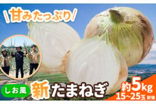新玉ねぎ しお風新たまねぎ 約5kg 《速攻出荷！》 玉ねぎ 新たまねぎ 玉葱 たまねぎ 新玉 野菜 青果物 岡山県 笠岡市 5000円以下 5000円以内 10000円以下 10000円以内