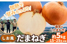たまねぎ【2025年先行予約分】しお風たまねぎ 約5kg《2025年6月上旬-6月末頃出荷》 玉ねぎ たまねぎ 野菜 青果物 岡山県 笠岡市 玉ねぎ 5kg 5000円以下 5000円以内 10000円以下 10000円以内
