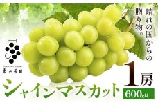 シャインマスカット 晴れの国からの贈り物 シャインマスカット 600g 以上 1房 《9月上旬-10月中旬頃出荷》 東山農園 ブドウ 葡萄 マスカット 果物 フルーツ ギフト 岡山県 笠岡市