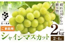 シャインマスカット ご家庭用 晴れの国からの贈り物 シャインマスカット 2kg 以上 2房 ～ 4房《9月上旬-10月中旬頃出荷》 東山農園 ブドウ 葡萄 マスカット 果物 フルーツ ギフト 岡山県 笠岡市