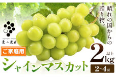 シャインマスカット ご家庭用 晴れの国からの贈り物 シャインマスカット 2kg 以上 2房 ～ 4房《9月上旬-10月中旬頃出荷》 東山農園 ブドウ 葡萄 マスカット 果物 フルーツ ギフト 岡山県 笠岡市
