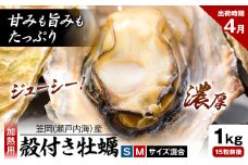 笠岡産 (瀬戸内海産) 殻付き牡蠣 (加熱用) S・Mサイズ混合 1kg 15粒前後《4月上旬-4月末頃出荷》岡山県 笠岡市 かき カキ 牡蠣 生牡蠣 瀬戸内海産 殻付き