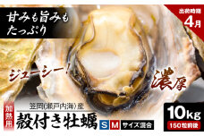笠岡産 (瀬戸内海産) 殻付き牡蠣 (加熱用) S・Mサイズ混合 10kg 150粒前後《4月上旬-4月末頃出荷》岡山県 笠岡市 かき カキ 牡蠣 生牡蠣 瀬戸内海産 殻付き