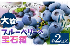 ブルーベリー 大粒 計2kg (500g×4パック) 大粒ブルーベリーの宝石箱 かさおか青空ファーム 《2025年6月上旬-8下旬頃出荷》 岡山県 笠岡市 送料無料 フルーツ 果物 岡山県産 国産 ブルーベリー お取り寄せ st-p