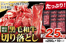 牛肉 切り落とし 牛肉 訳あり 小分け 選べる内容量 約2.5kg 約250g×10パック《30日以内に出荷予定(土日祝除く)》岡山県産 岡山県 笠岡市 お肉 にく カレー 牛丼 切り落し 切落し st-p