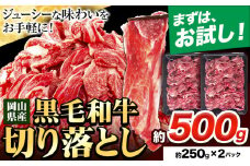 牛肉 切り落とし 牛肉 訳あり 小分け 約500g 約250g×2パック《30日以内に出荷予定(土日祝除く)》岡山県産 岡山県 笠岡市 お肉 にく カレー 牛丼 切り落し 切落し st-p