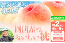 【7月中旬～8月上旬頃発送予定】桃 通常品種 2kg もも 岡山 白鳳 紅清水 よし姫 なつおとめ 川中島白桃 岡山県 笠岡市 送料無料 果物 フルーツ お取り寄せ