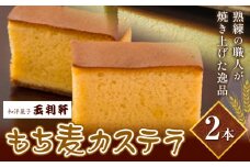 もち麦カステラ 株式会社玉利軒《45日以内に出荷予定(土日祝除く)》岡山県 笠岡市 カステラ もち麦 お土産 和菓子 手土産 送料無料 冷蔵配送 st-p